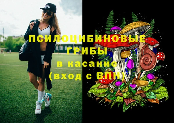спайс Арсеньев