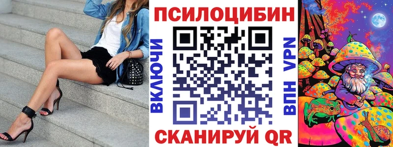 blacksprut маркетплейс  Выкса  Псилоцибиновые грибы Psilocybine cubensis  как найти закладки 