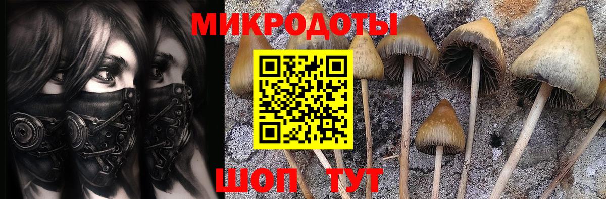 Псилоцибиновые грибы прущие грибы  Вход с VPN  Выкса 